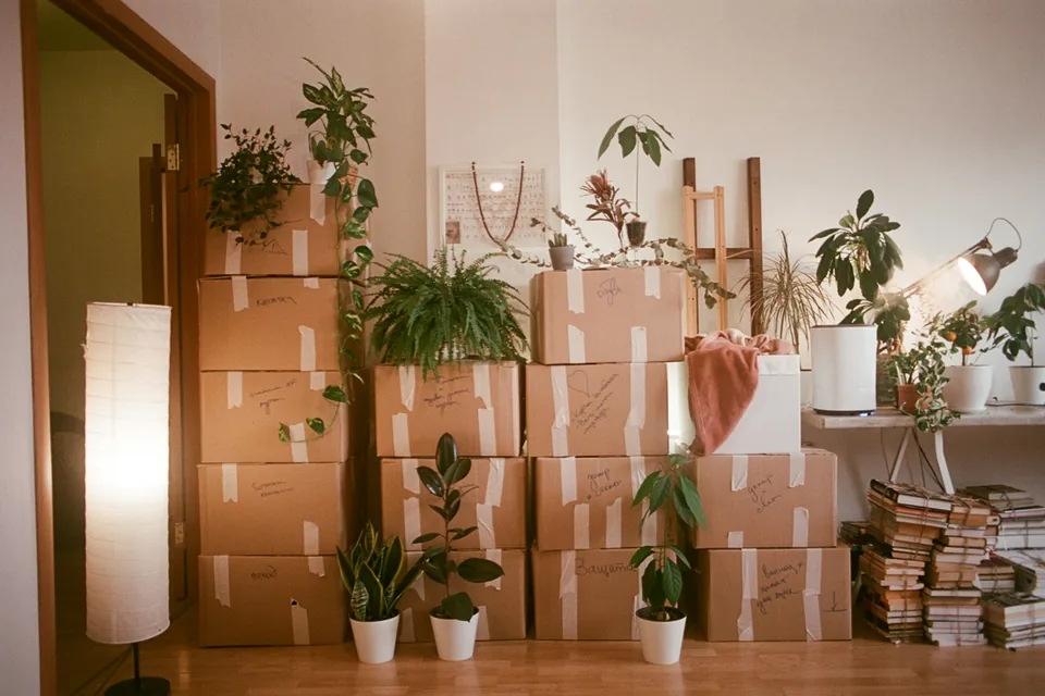 Boxes and household items staged for junk removal pickup